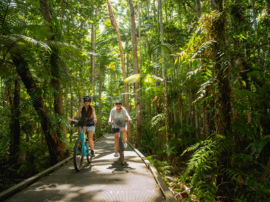 Biked - Cairns bike hire & tours